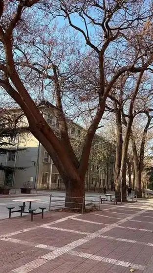河北农业大学中兽医学院