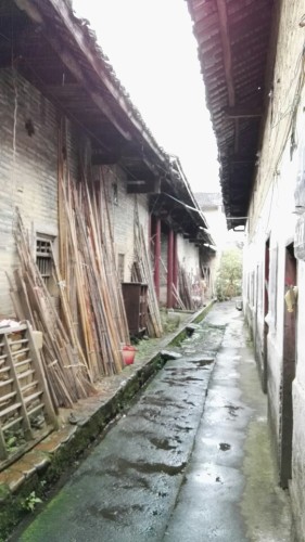 乌石围旅行图片 1