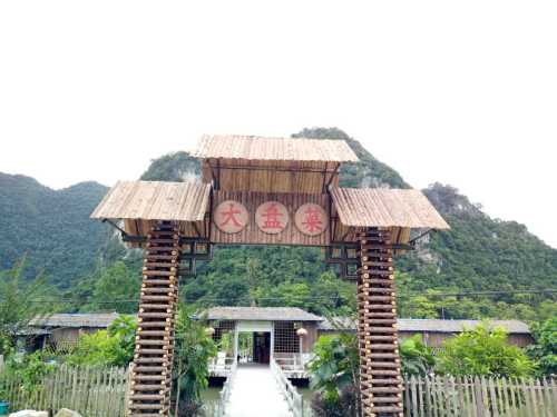 壮家大盘菜