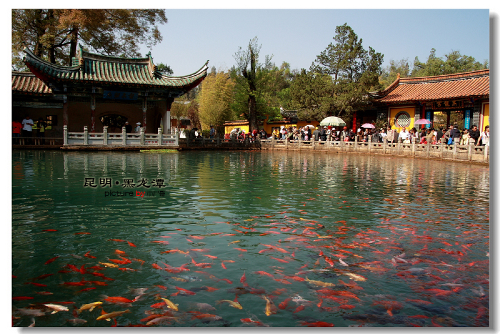 黑龙潭公园景点图片