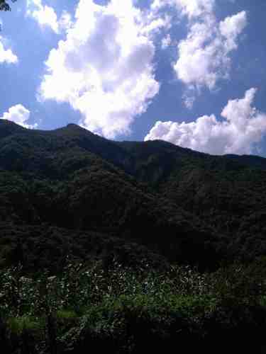 养生馆自然观光区旅行图片 1