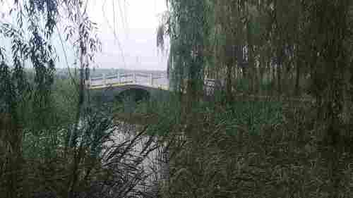 北沙河湿地公园旅行图片 3