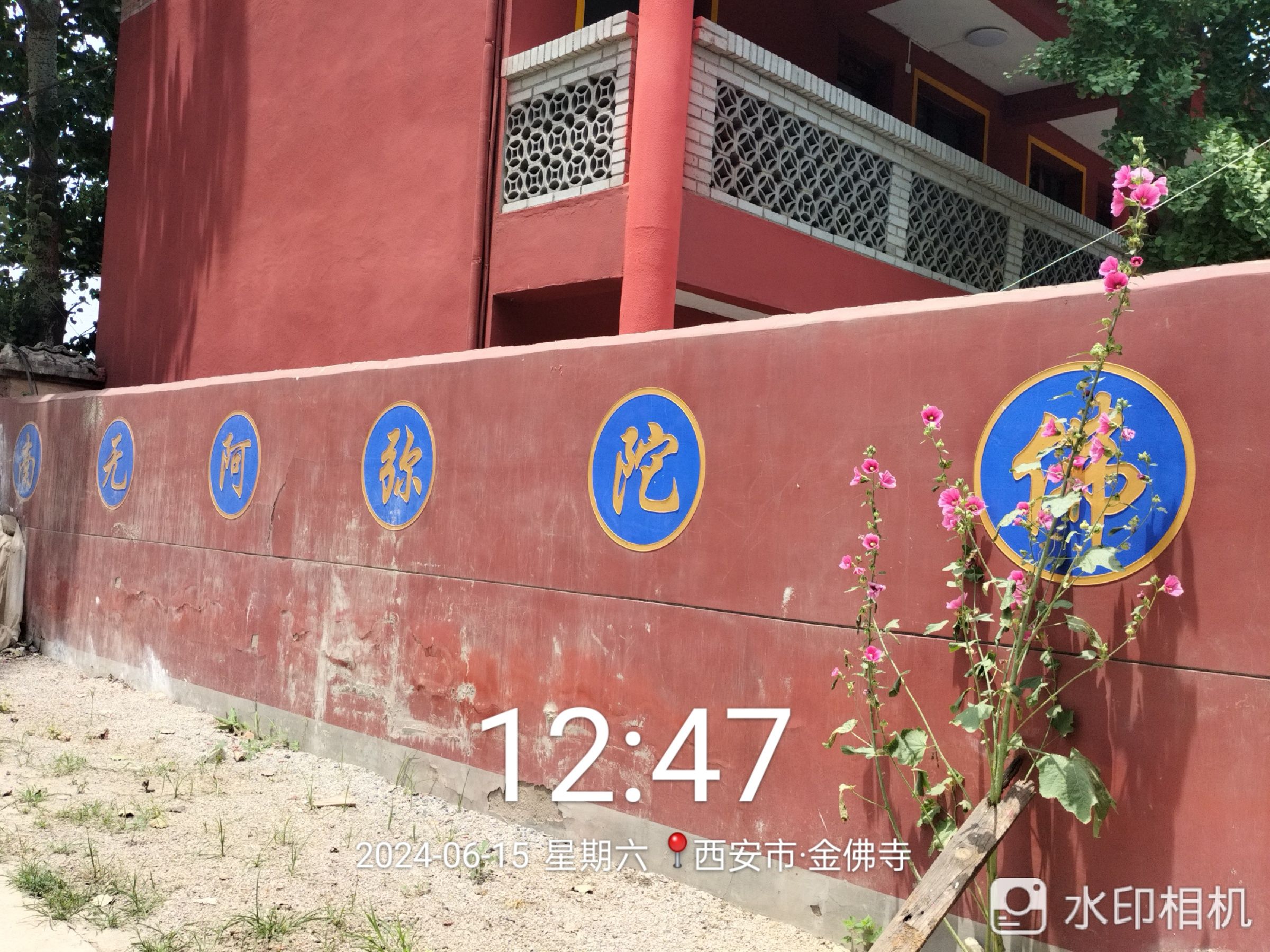 金佛寺实景照片