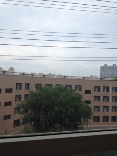 樱苍林旅行图片 1