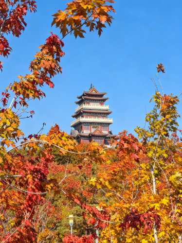 清风阁