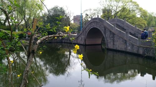 文化广场旅行图片 2
