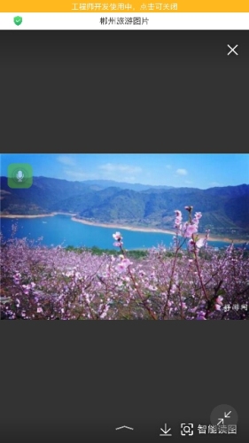 凤凰岛旅行图片 2