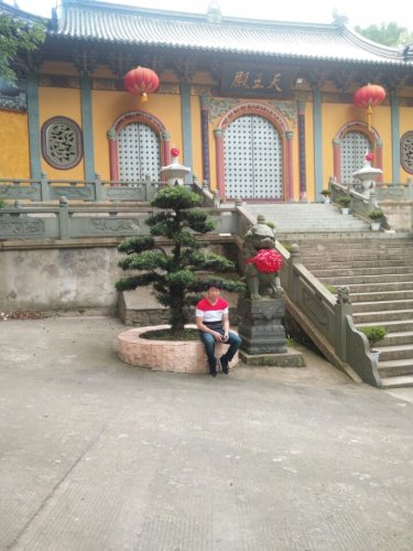 江厦森林公园旅行图片 2