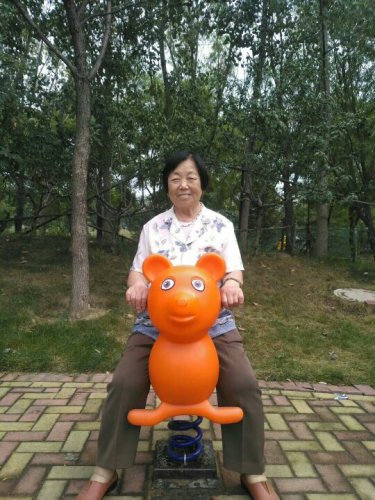 金马公园旅行图片 1