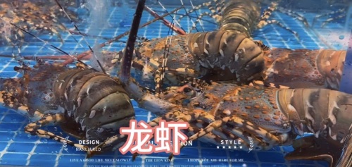 蒙记海鲜城·惠州老字号