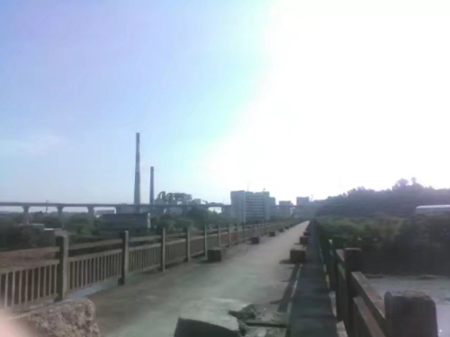 旸府古樟旅行图片 1