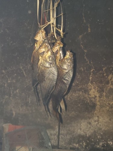 大塅苗寨旅行图片 1