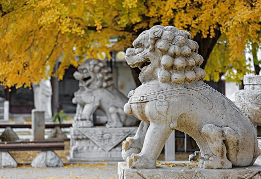 濠溪古庙实景照片