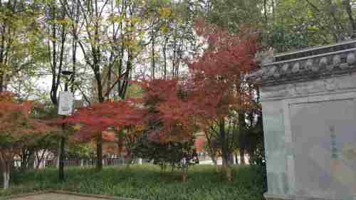 孝子祠公园旅行图片 2