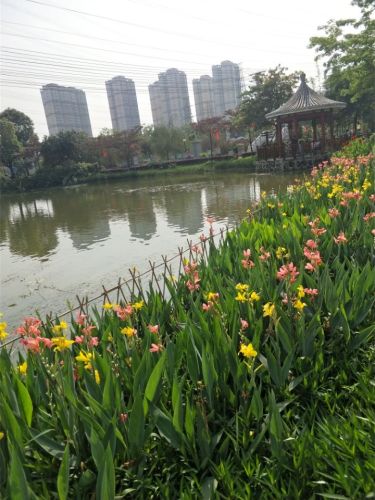 富竹公园旅行图片 2