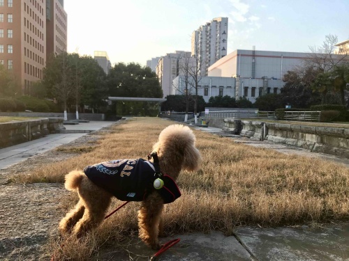 西华门遗址广场旅行图片 2