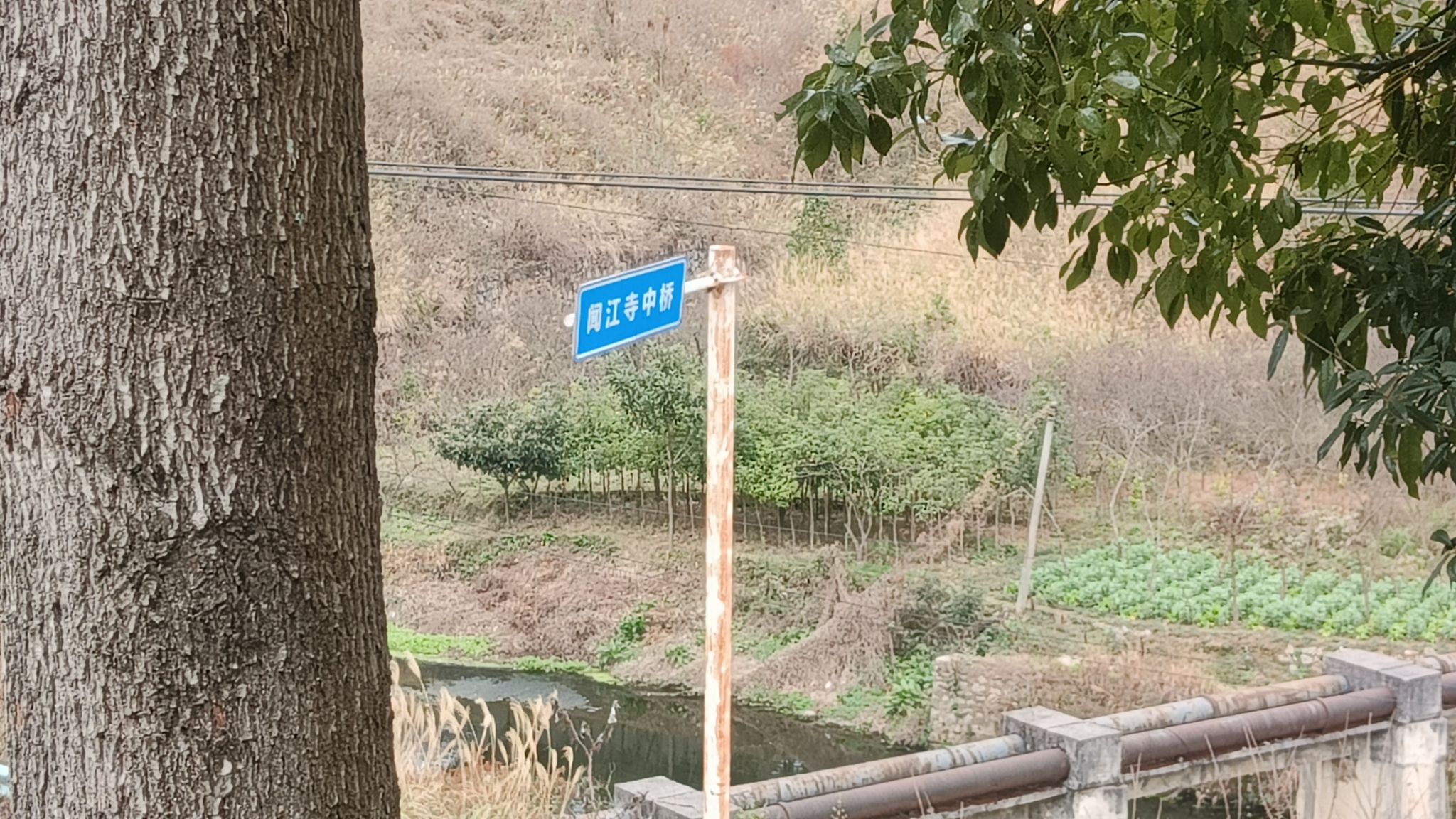 闻江寺实景照片