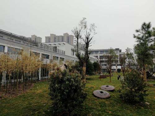 公园道旅行图片 2
