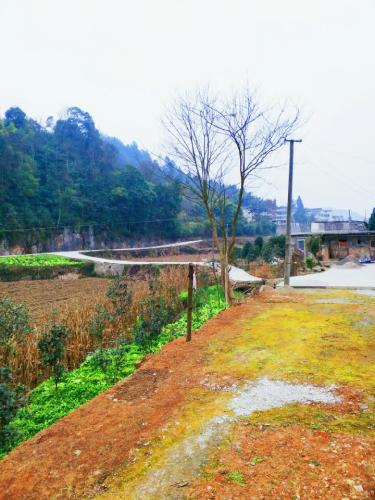 天坪组旅游景点旅行图片 2