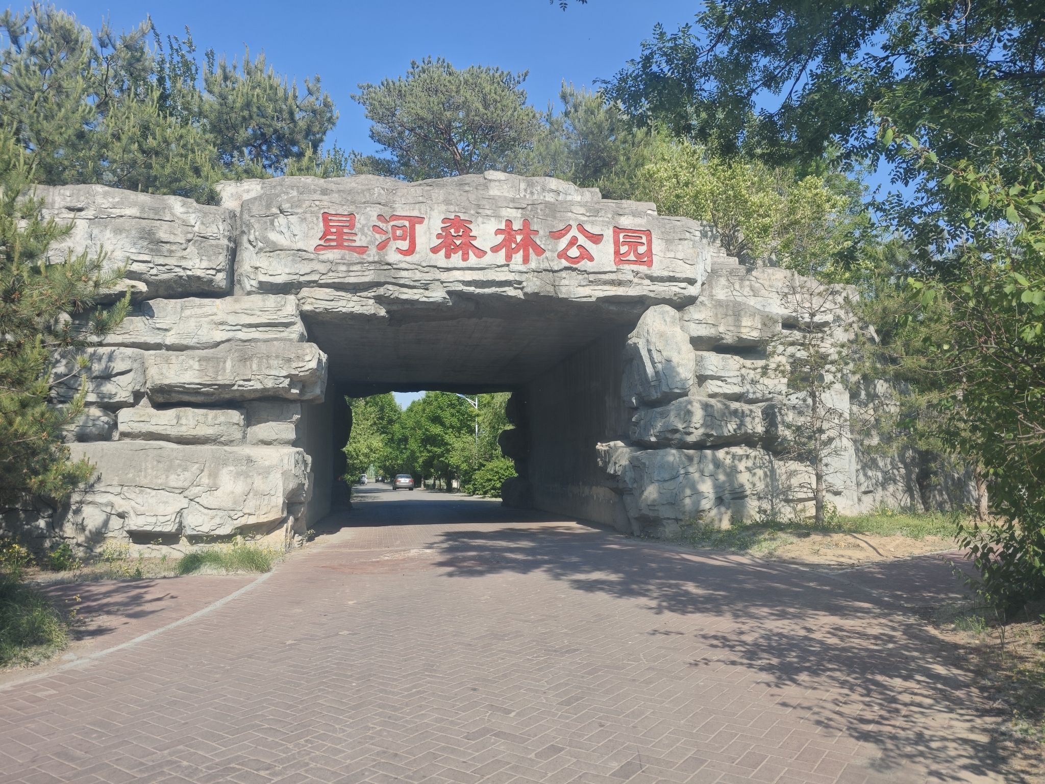 星河森林公园