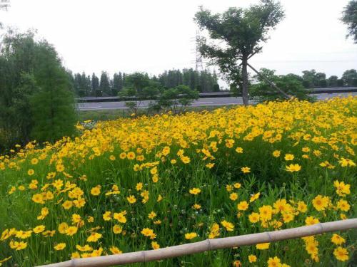 长虹卧波旅行图片 1