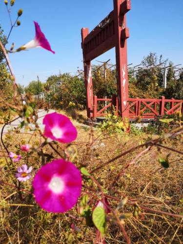 葫芦套民俗风景区旅行图片 1
