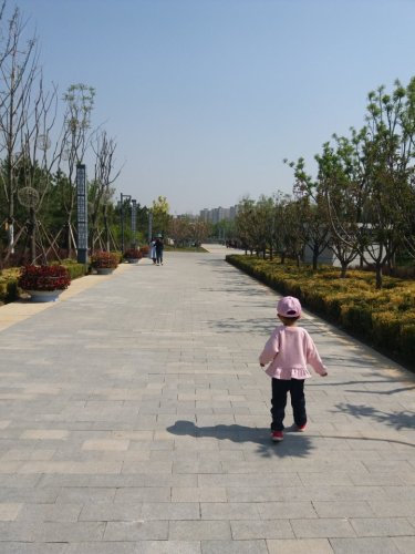 东篱公园旅行图片 2