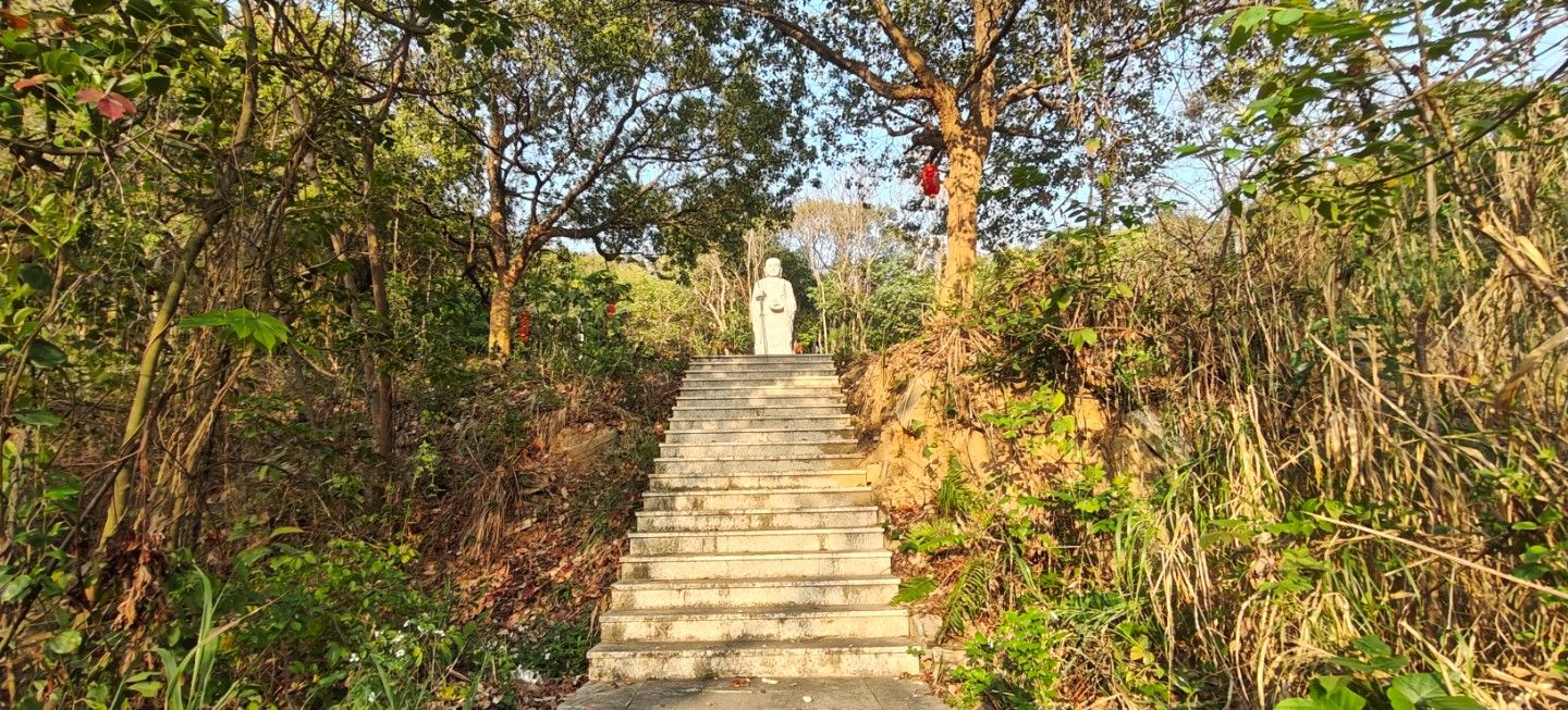 观海寺实景照片