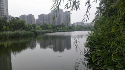 龙池湖旅行图片 3