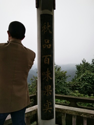 问仙亭旅行图片 3