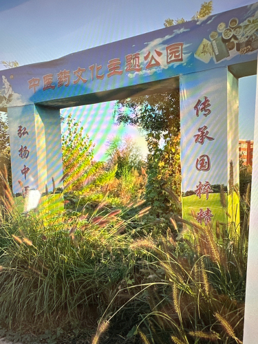 沧州市中医药文化公园
