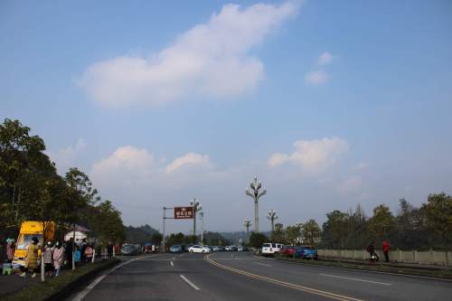 樱花公园旅行图片 1
