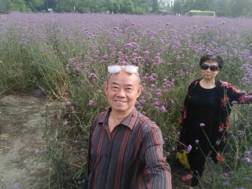 云峰山庄旅行图片