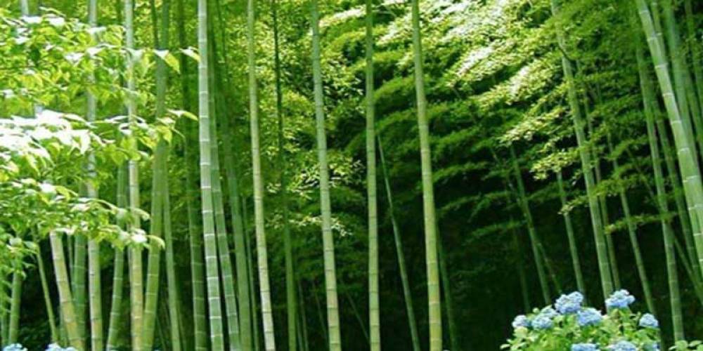 皇甫山国家森林公园景点图片