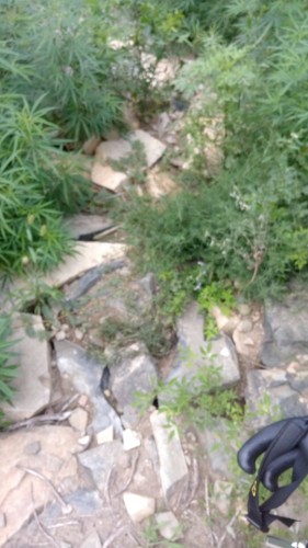 雕窝峪生态旅游风景区旅行图片