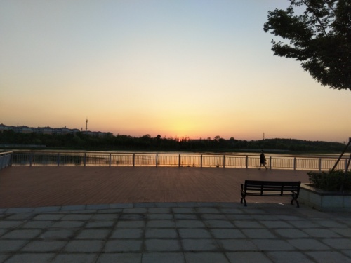 瑞阳湖湿地公园旅行图片 3