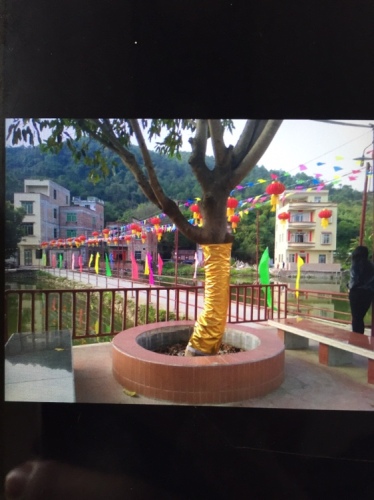玉龙寨旅游景区(暂停开放)旅行图片 1