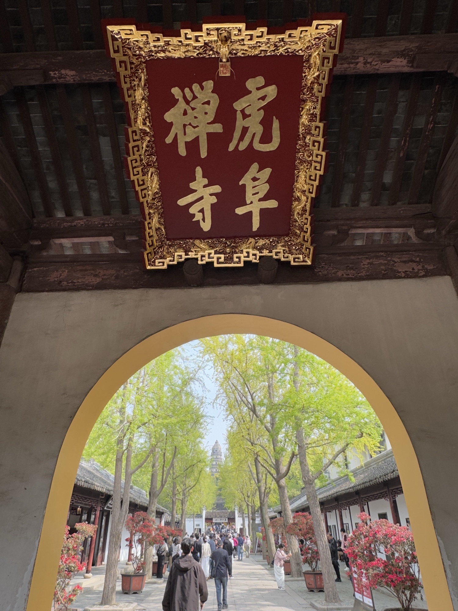 虎阜禅寺实景照片