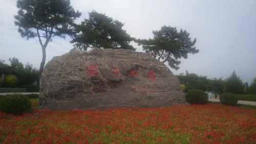 佛山公园旅行图片 3