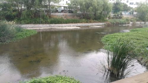 山海天湿地公园旅行图片 1