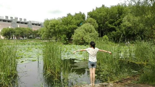 绿园区电影城荷花池旅行图片 3
