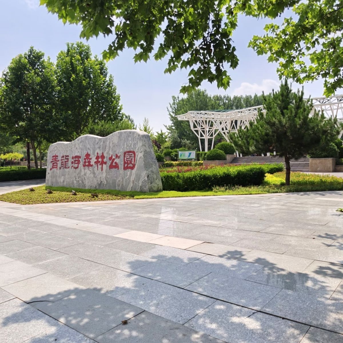 青龙河森林公园