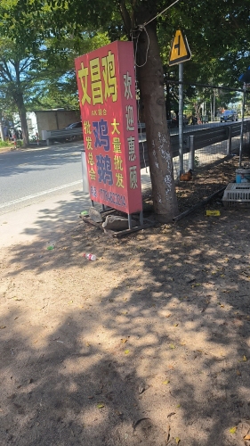文昌鸡场
