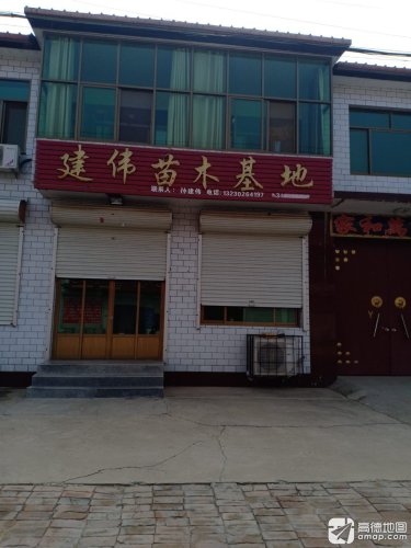 建伟苗木基地
