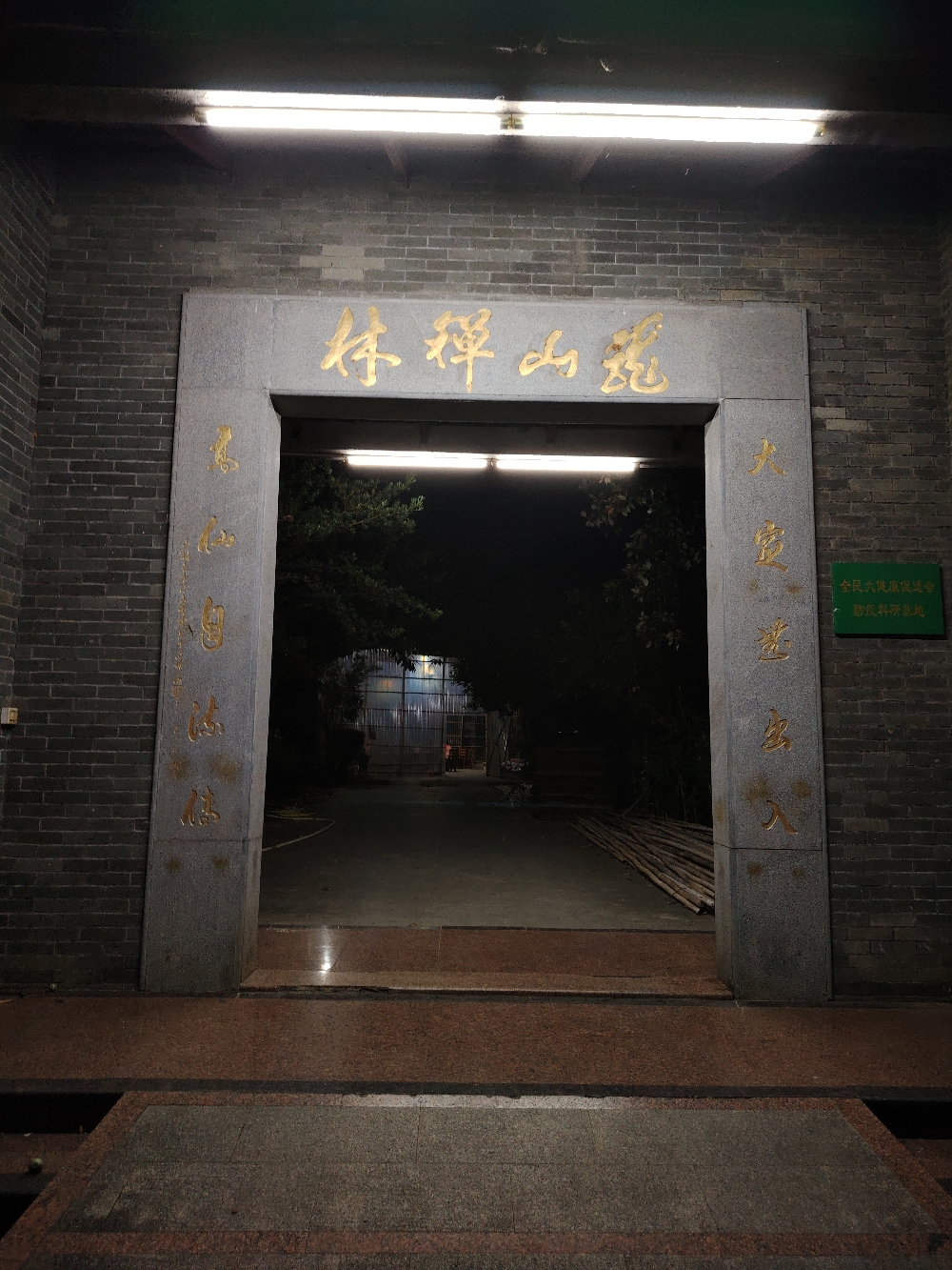 龙山禅林实景照片