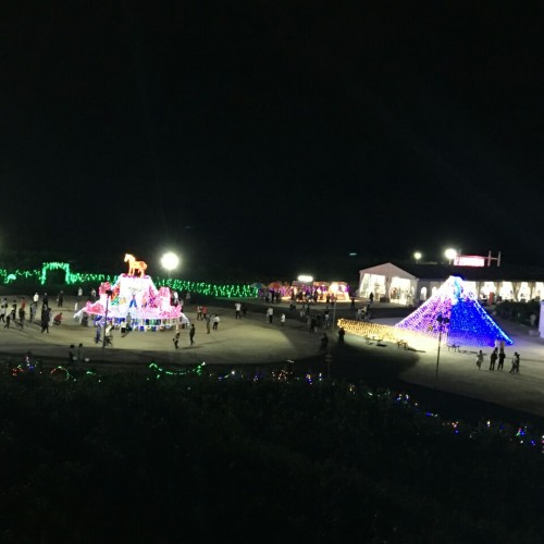 花大沈旅行图片 3