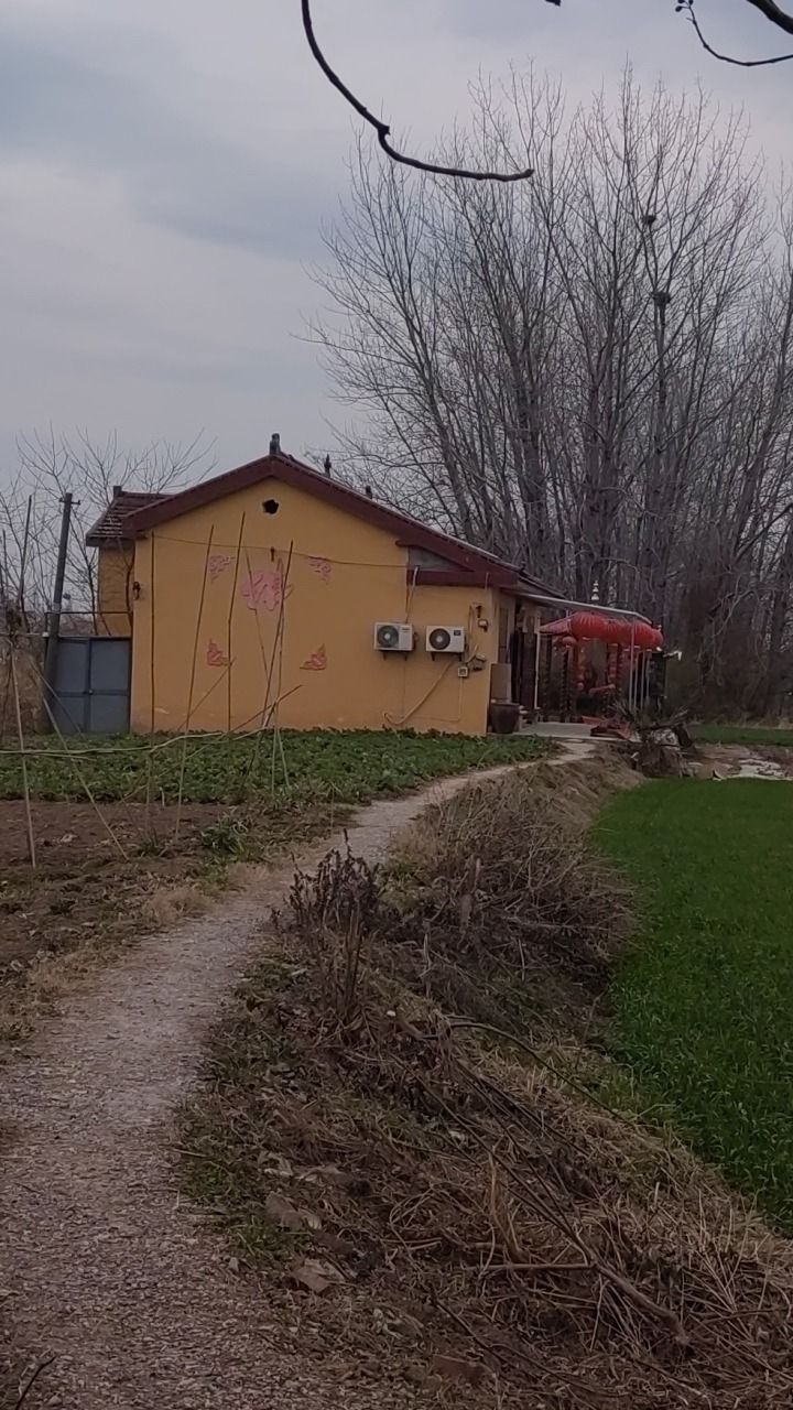 江洲禅寺实景照片