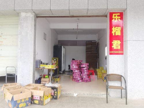乐榴君