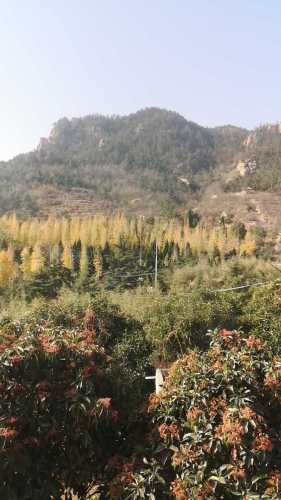 百雀林观光园旅行图片
