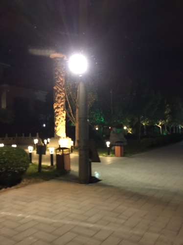 绿洲水乡养生园旅行图片 1